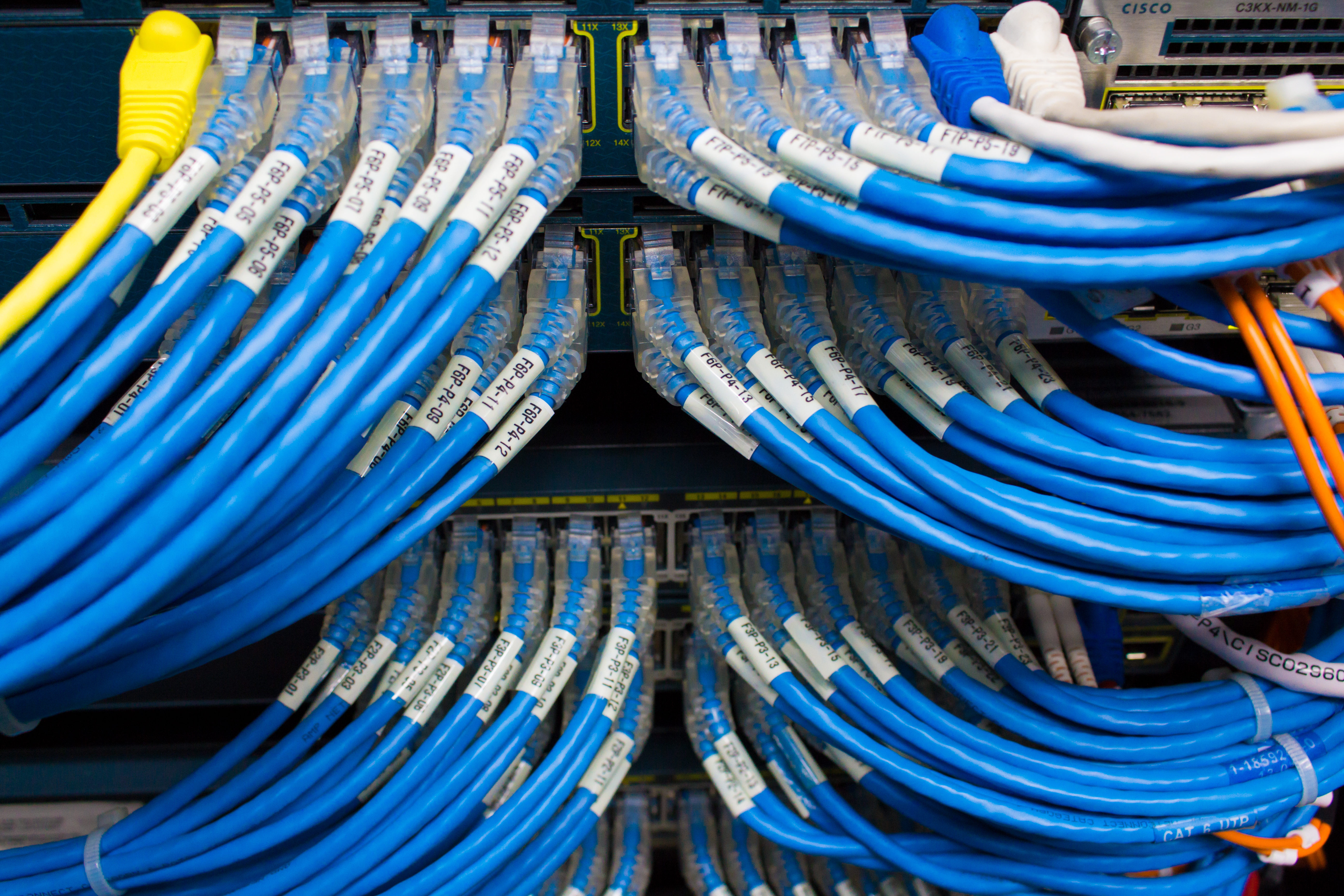 Network cable
